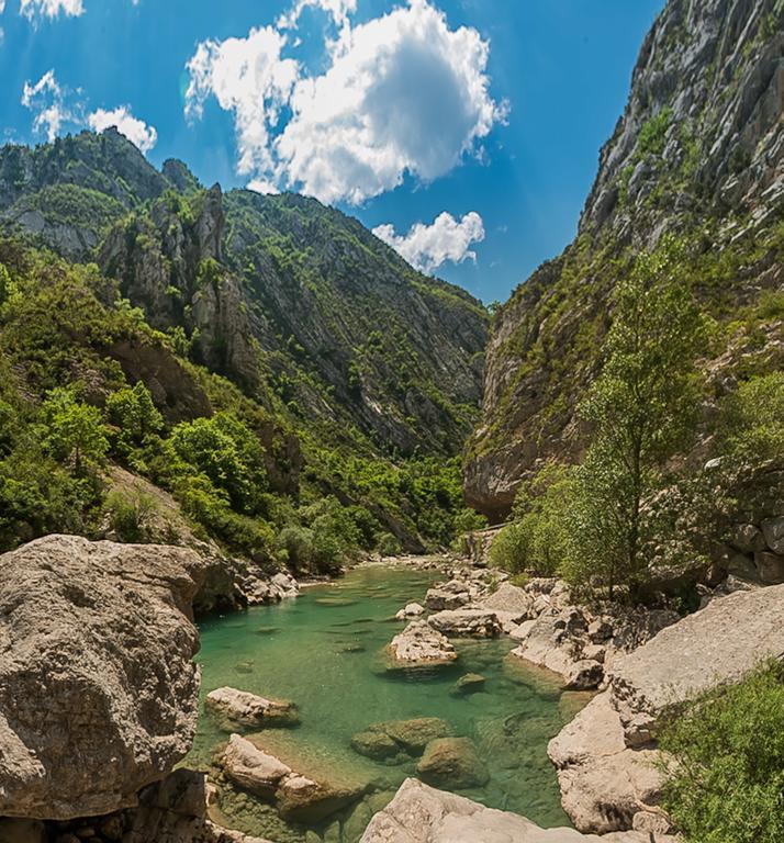 Villa Lorraine Vence Εξωτερικό φωτογραφία